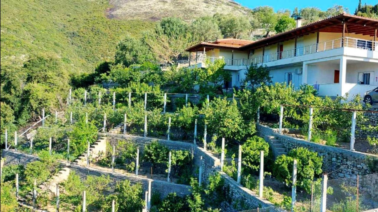 Philoxenia Guest House Himarë Eksteriør billede