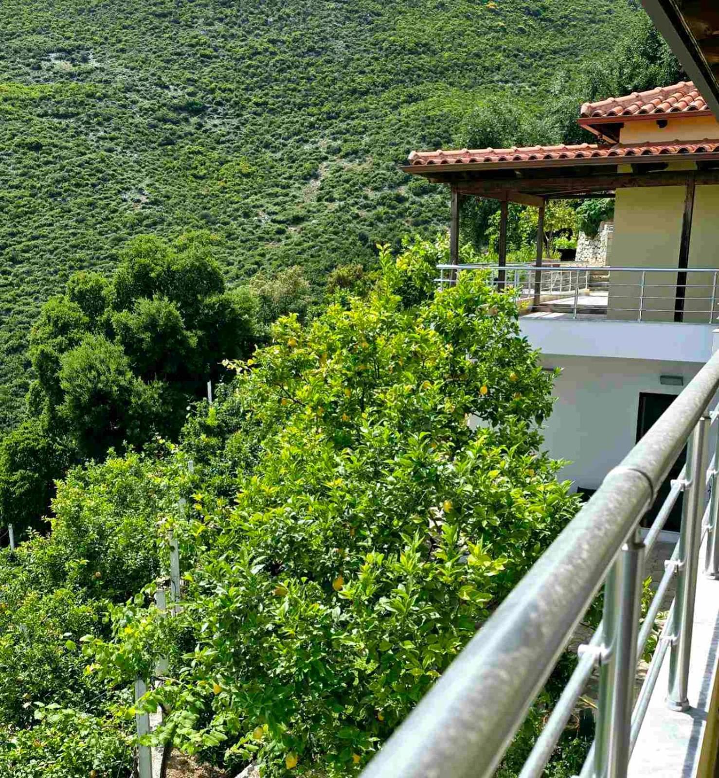 Philoxenia Guest House Himarë Eksteriør billede